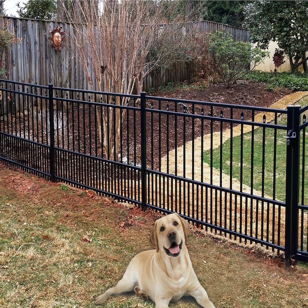 Pool Fence installation Beverly Hills Ca